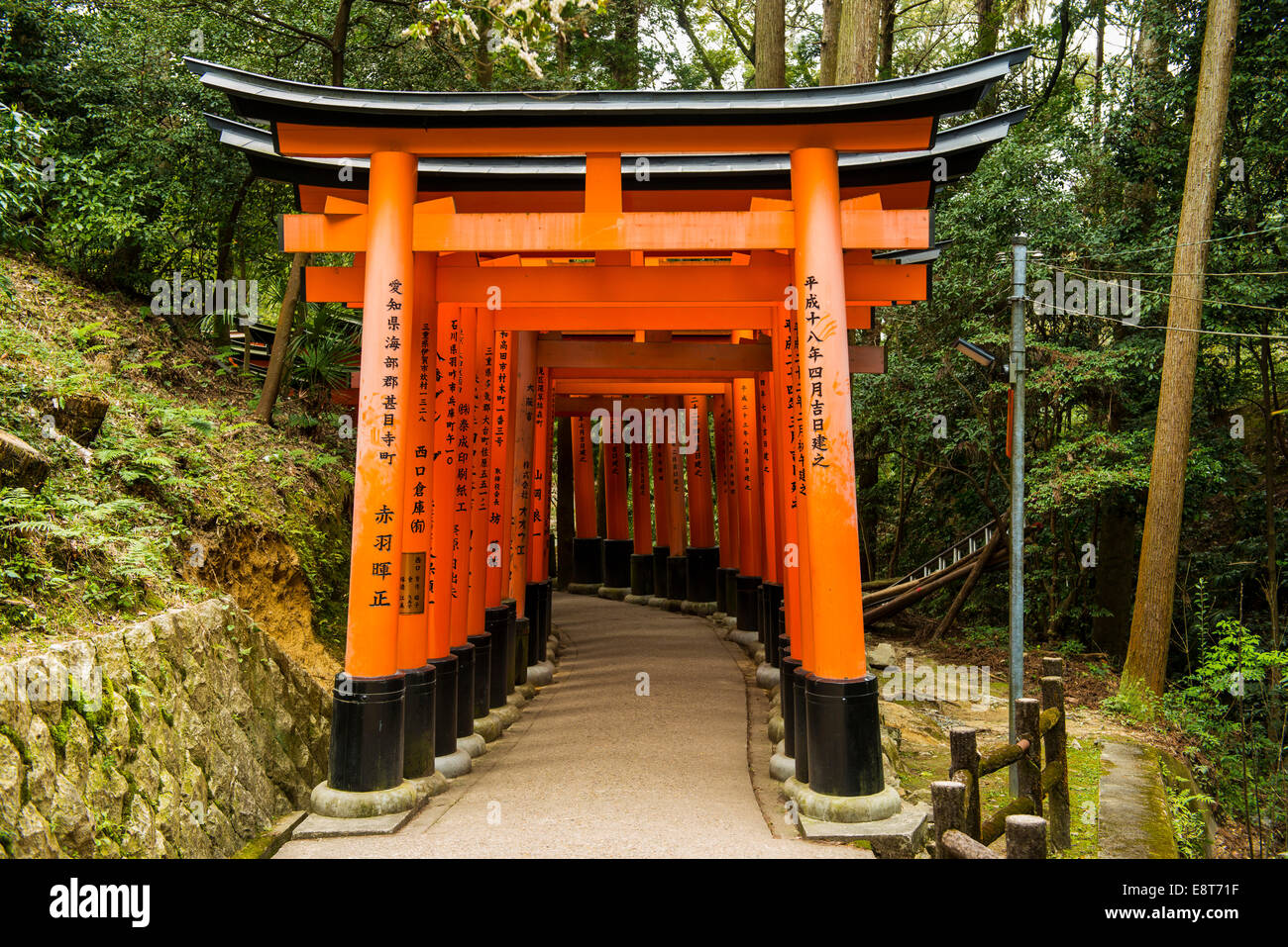 Torii o porte che conduce al santuario interiore, Fushimi-inari Taisha, Kyoto, Giappone Foto Stock