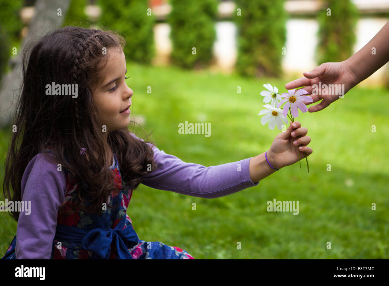 Bambino la mano dando fiori alla sua amica Foto Stock