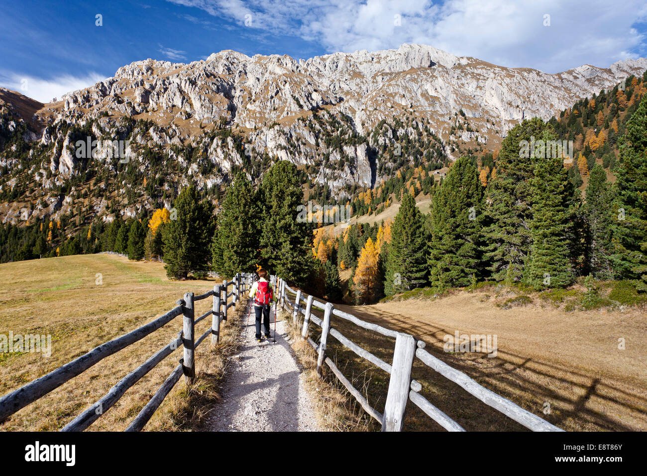 Gli alpinisti al Gampe prati, scendendo il Sass de Putia nel Puez-Geisler natura park, al di sotto della Val di Funes, Valle Isarco Foto Stock