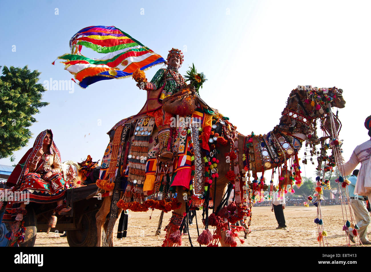Una donna indiana e un uomo a cavallo su un cammello carrello,Pushkar,Rajasthan,l'India Foto Stock