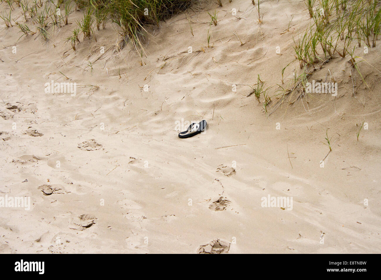 Lone flip flop a sinistra sulla sabbiosa spiaggia di Grand Bend, Ontario Canada Foto Stock
