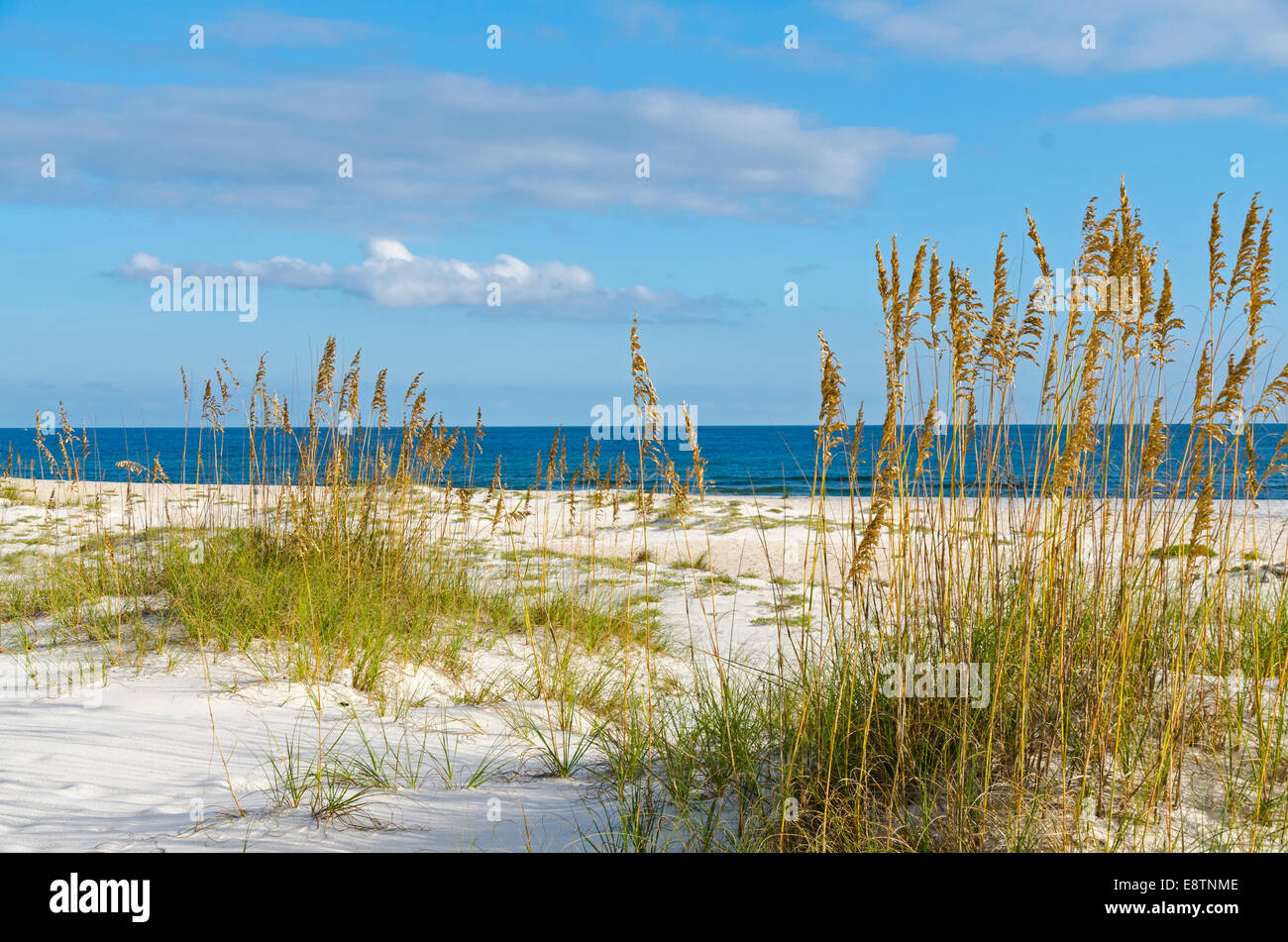 Una spiaggia di scena sul Alabama Gulf Coast. Foto Stock
