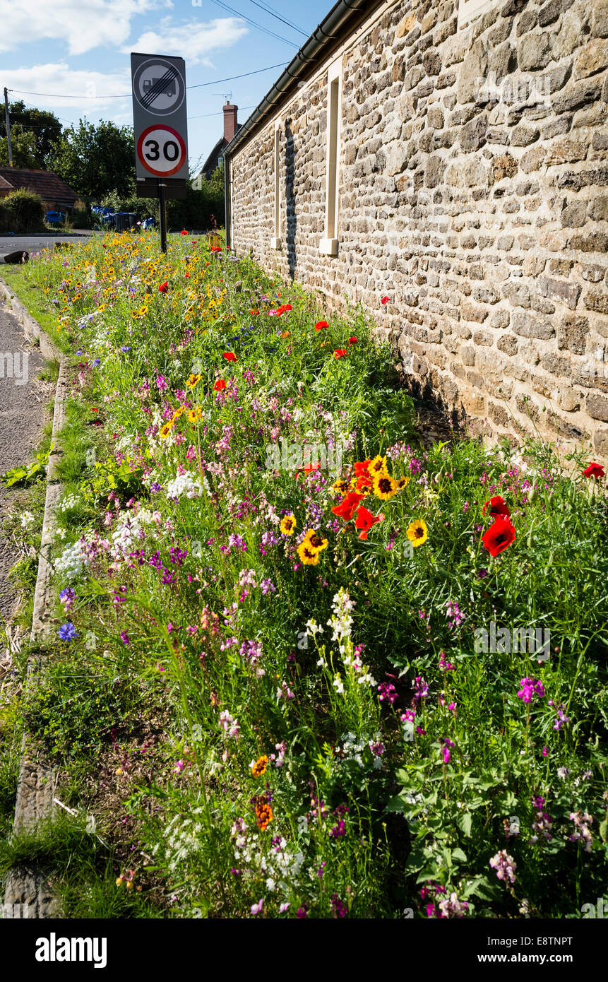 Strada stretta giardino adornato con fiori selvatici Foto Stock