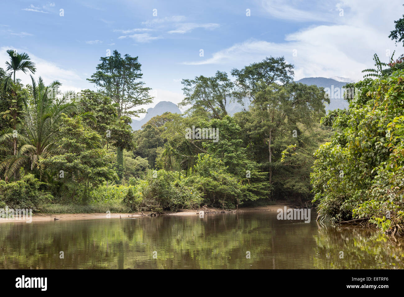 Fiume Melinau con la foresta pluviale e le montagne, il parco nazionale di Gunung Mulu, Sarawak, Malaysia Foto Stock