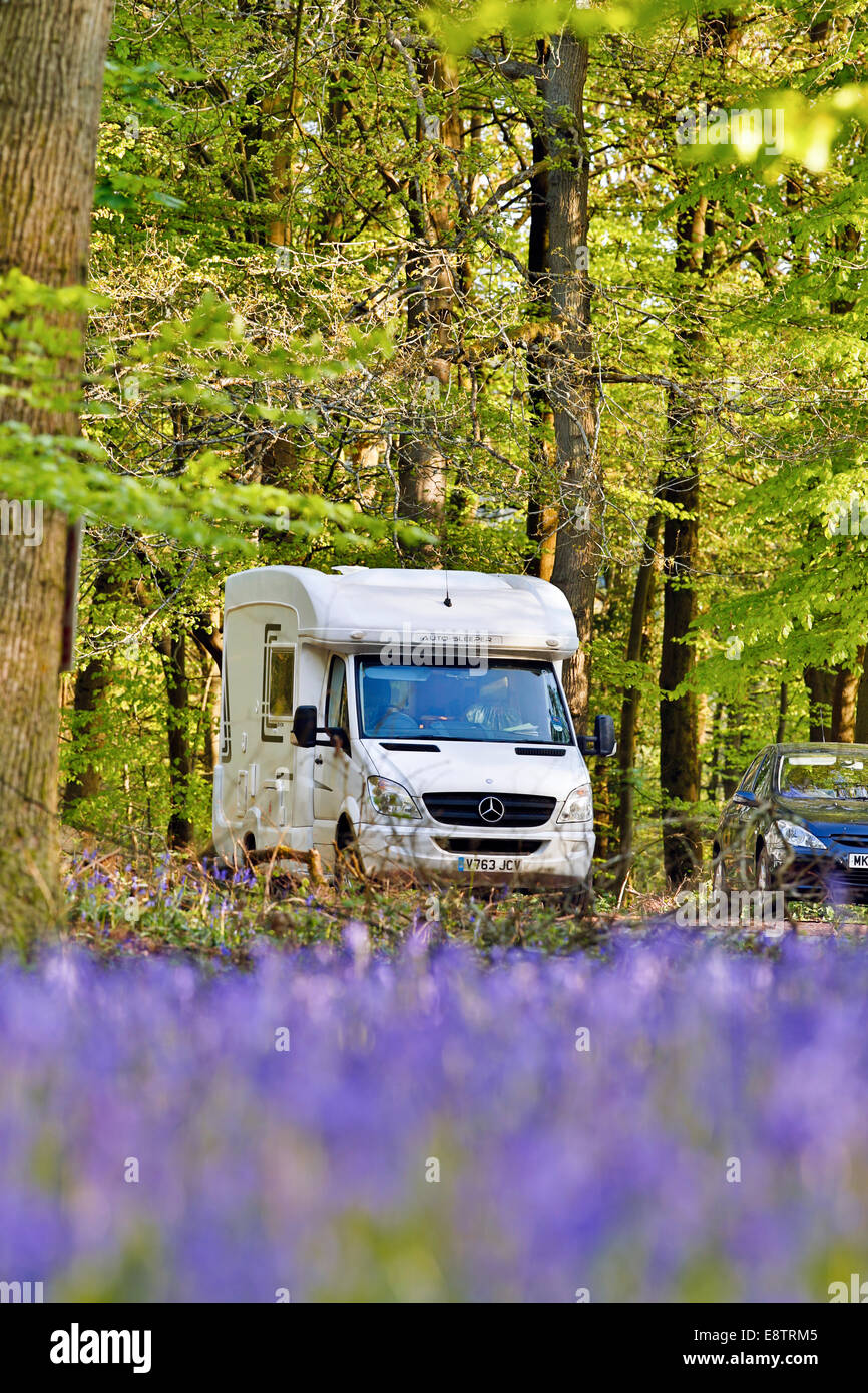 Bluebells; e camper; Foresta di Dean; Regno Unito Foto Stock
