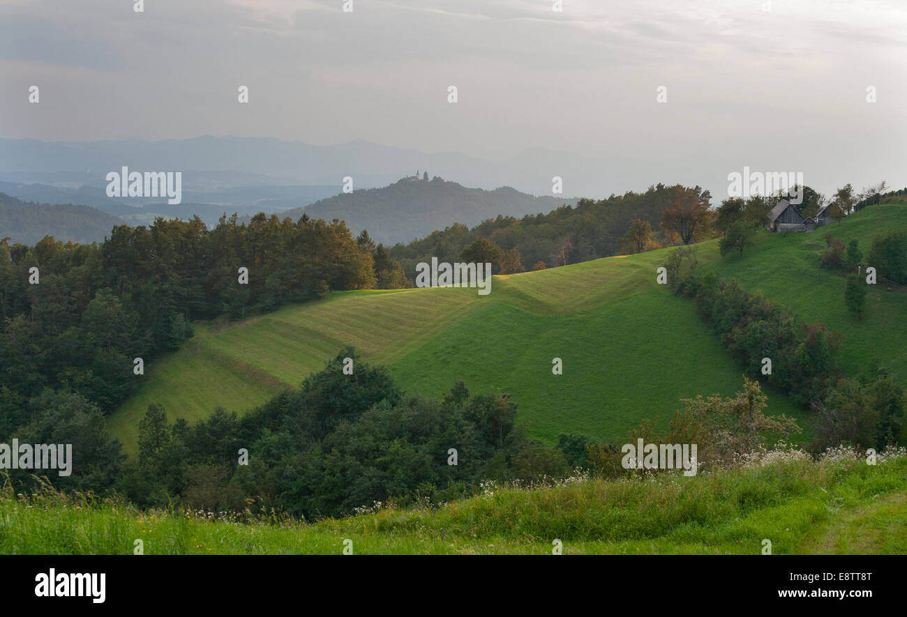 La Slovenia Stiria rurali di montagna paesaggio di pascolo Foto Stock