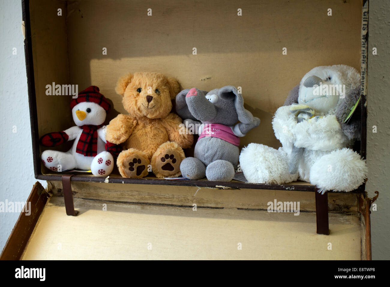 Giocattoli imbottiti per la vendita in un negozio di carità Foto Stock