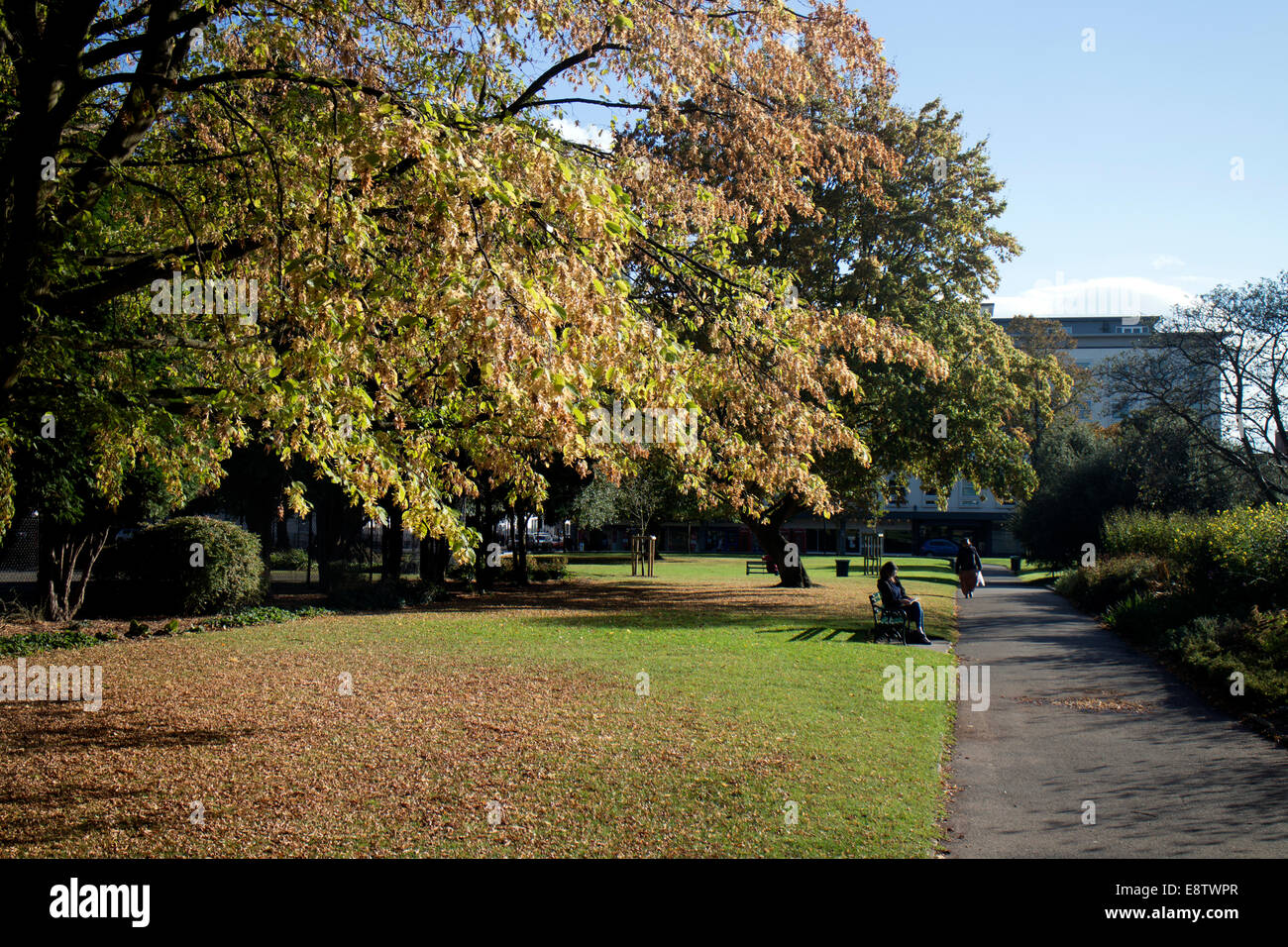 Giardini di Christchurch, Beauchamp ROAD, Leamington Spa Warwickshire, Regno Unito Foto Stock
