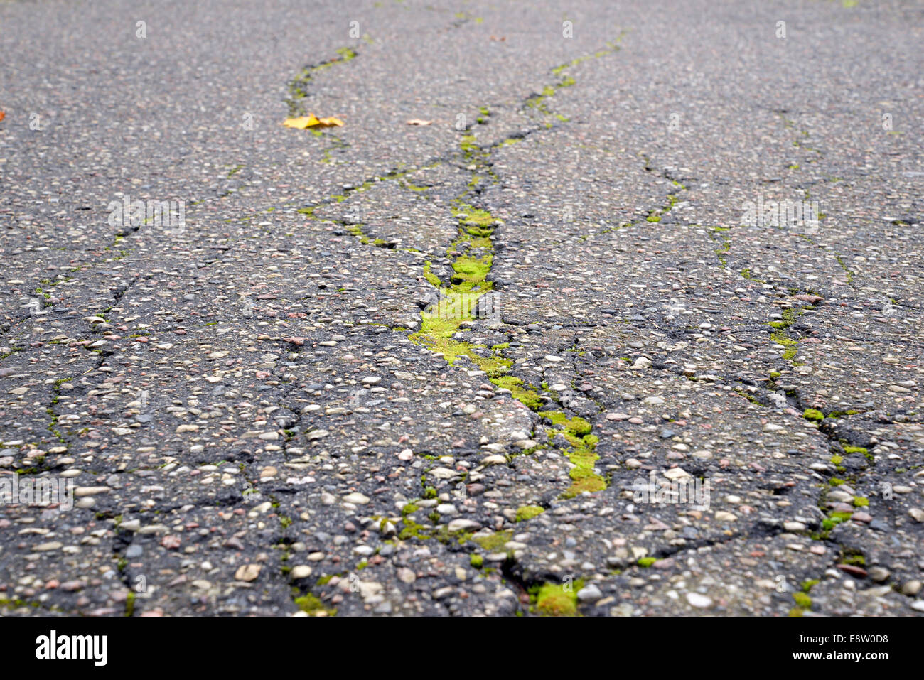 Strada asfaltata texture con una fessurazione Foto Stock