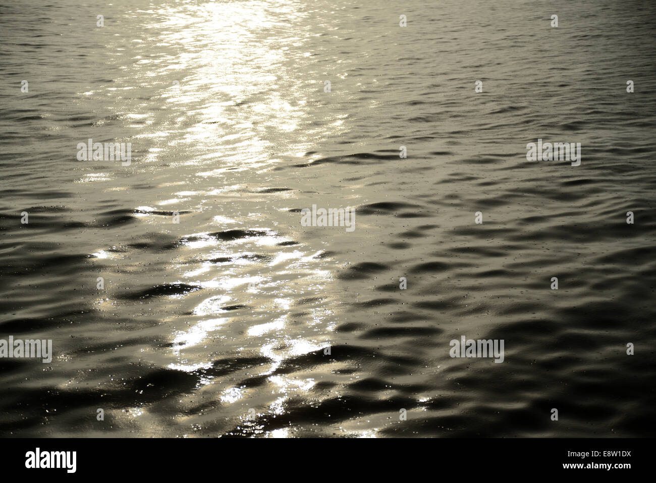 Superficie di acqua con gocce di pioggia Foto Stock