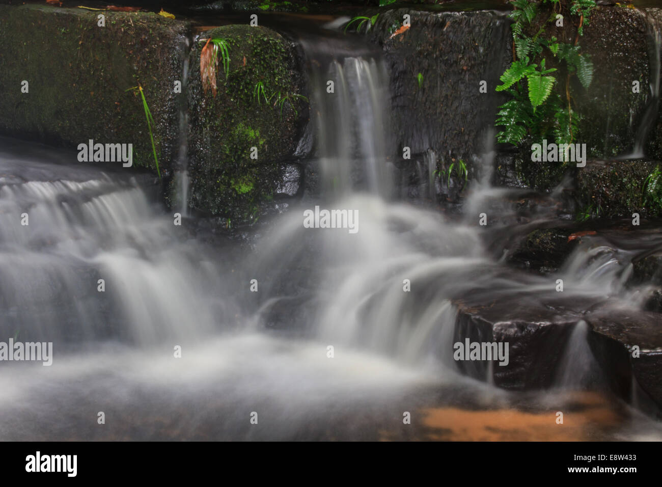 Cascata della foresta pluviale e le rocce coperte di muschio Foto Stock