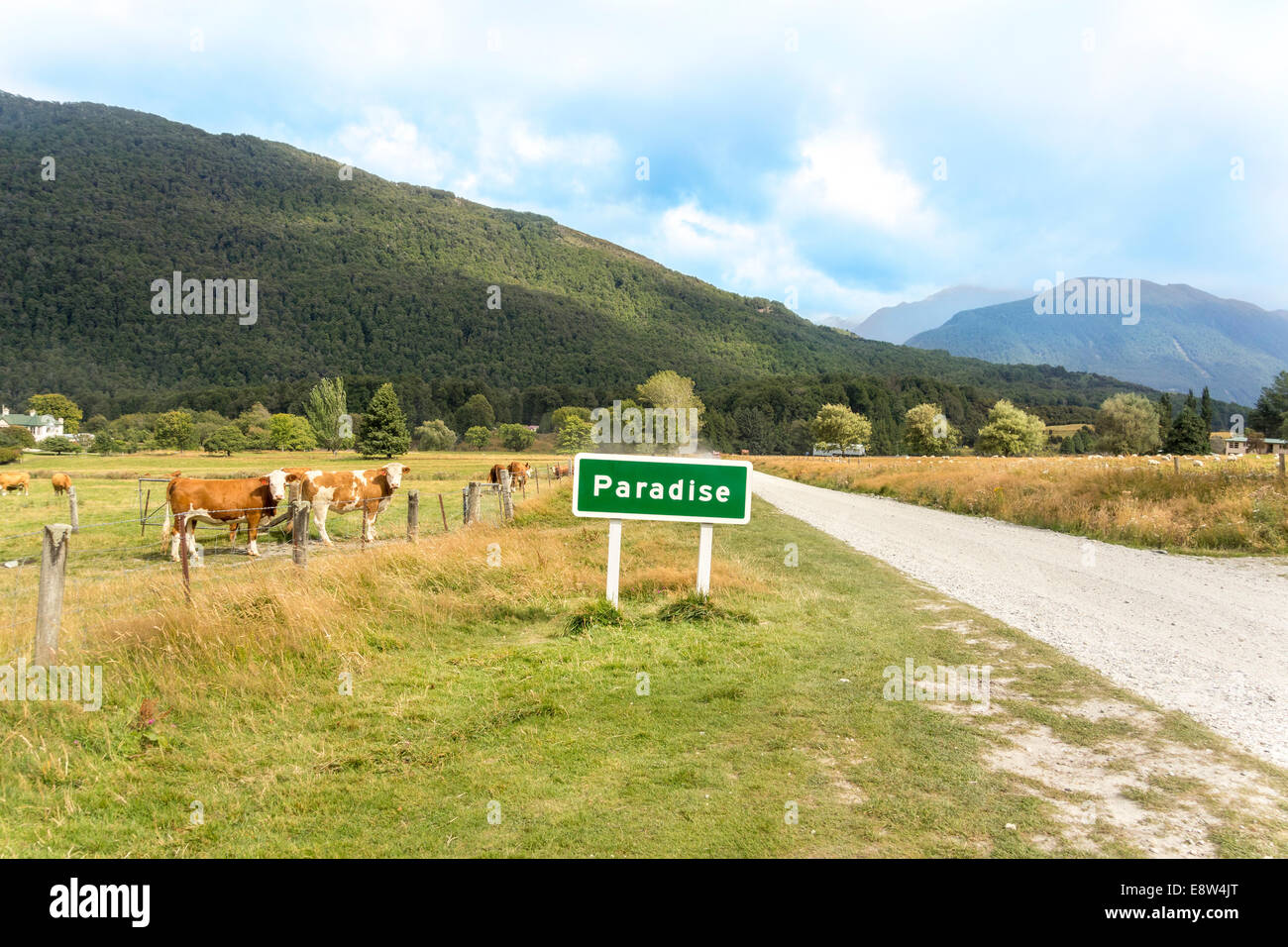 Il paradiso è una pastorale luogo rurale nella regione di Otago dell'Isola Sud della Nuova Zelanda. Cartello stradale vacche guardando la fotocamera storm brewing. Foto Stock