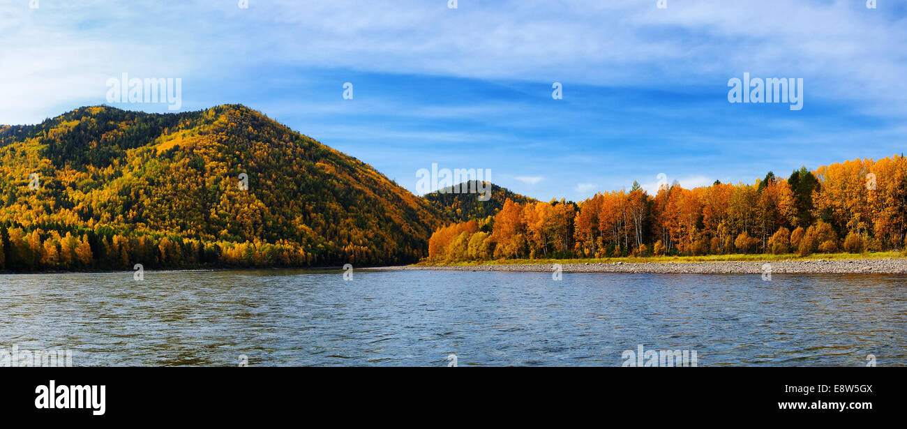 In autunno la taiga nella metà di settembre nel Sud della Siberia orientale Foto Stock