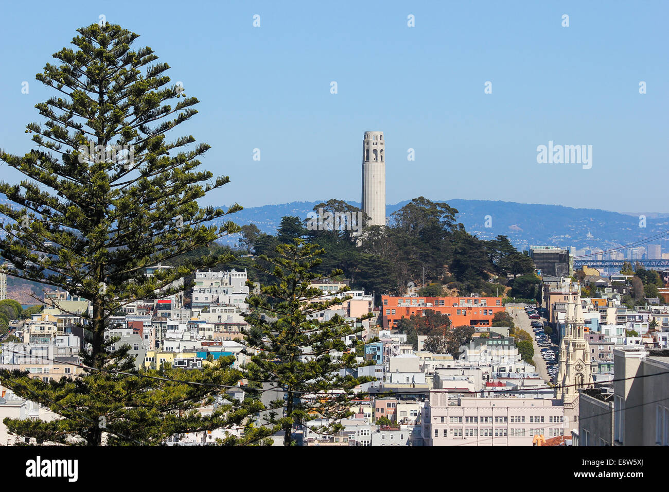 Una vista verso la Torre Coit, San Francisco, California Foto Stock