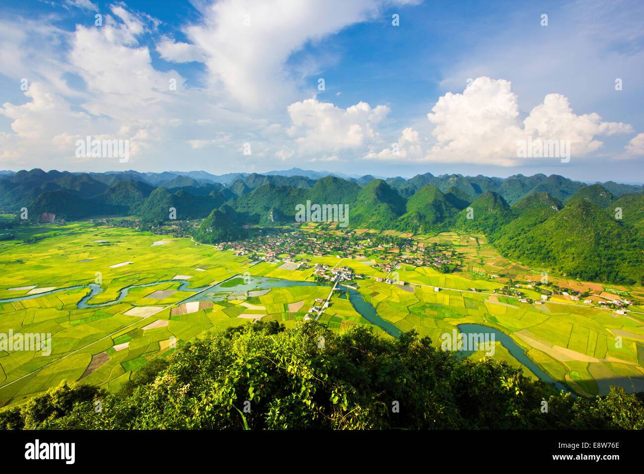 Campo di riso nella valle intorno con la montagna in Bac figlio, Vietnam. Foto Stock