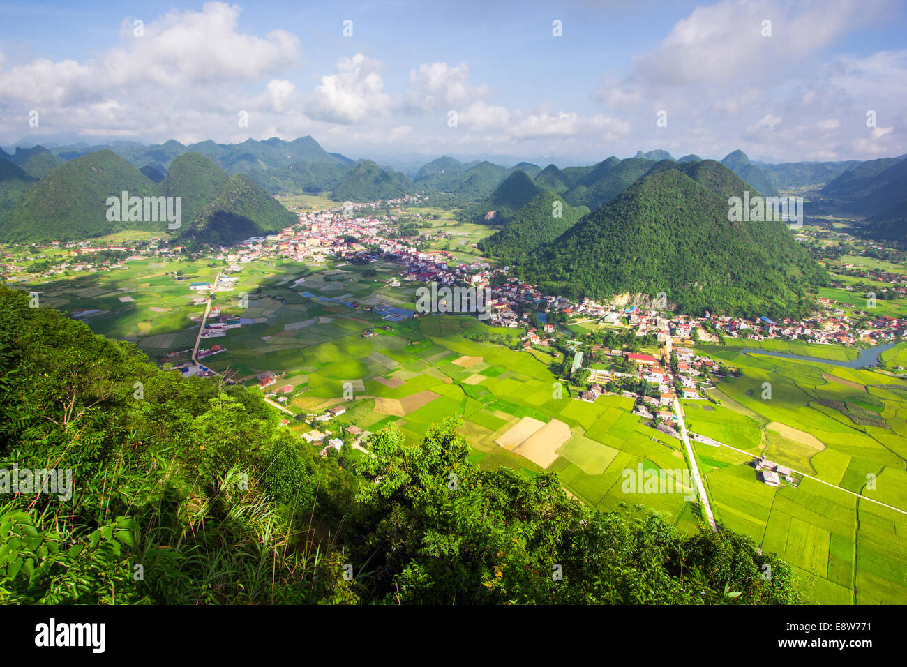 Campo di riso nella valle intorno con uccelli di montagna occhio vista in Bac figlio, Vietnam. Foto Stock