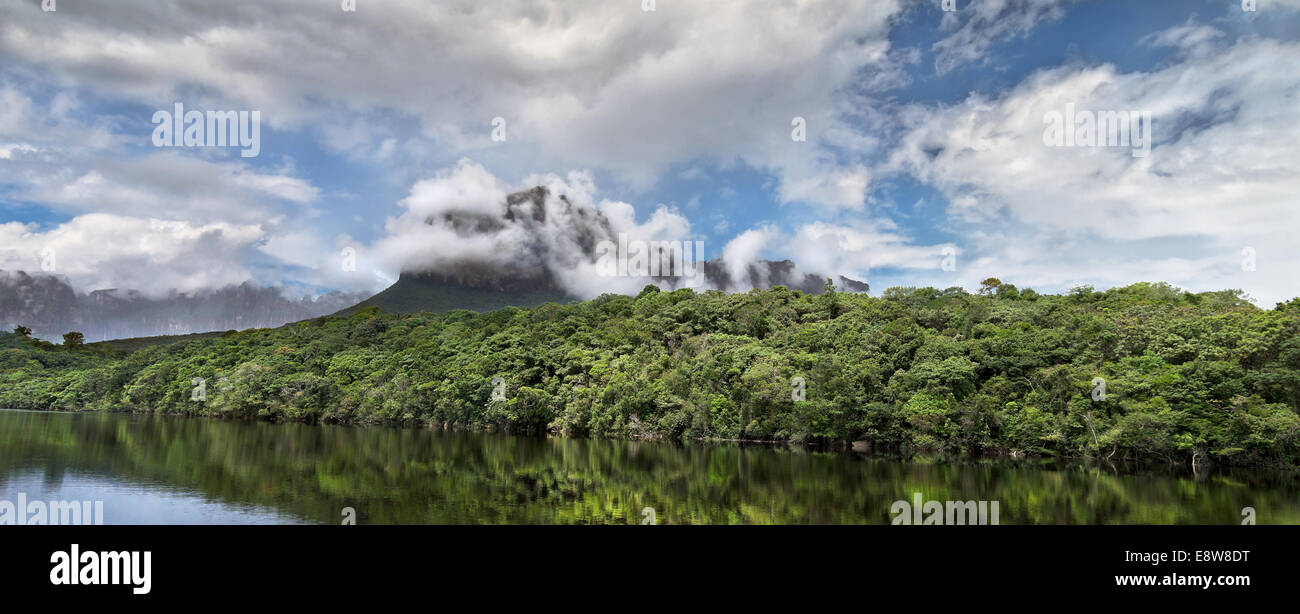 Vista della mesa nelle giungle del Nord America. Foto Stock