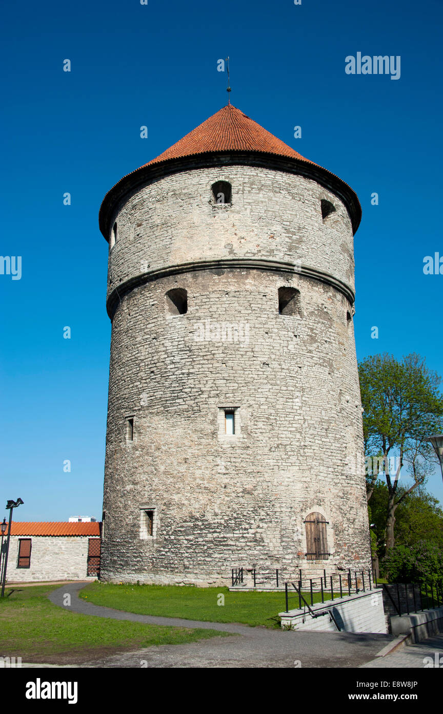Kiek in de Kök tower, Toompea, le mura della città, città alta, il centro storico di Tallinn, Estonia, Stati Baltici Foto Stock