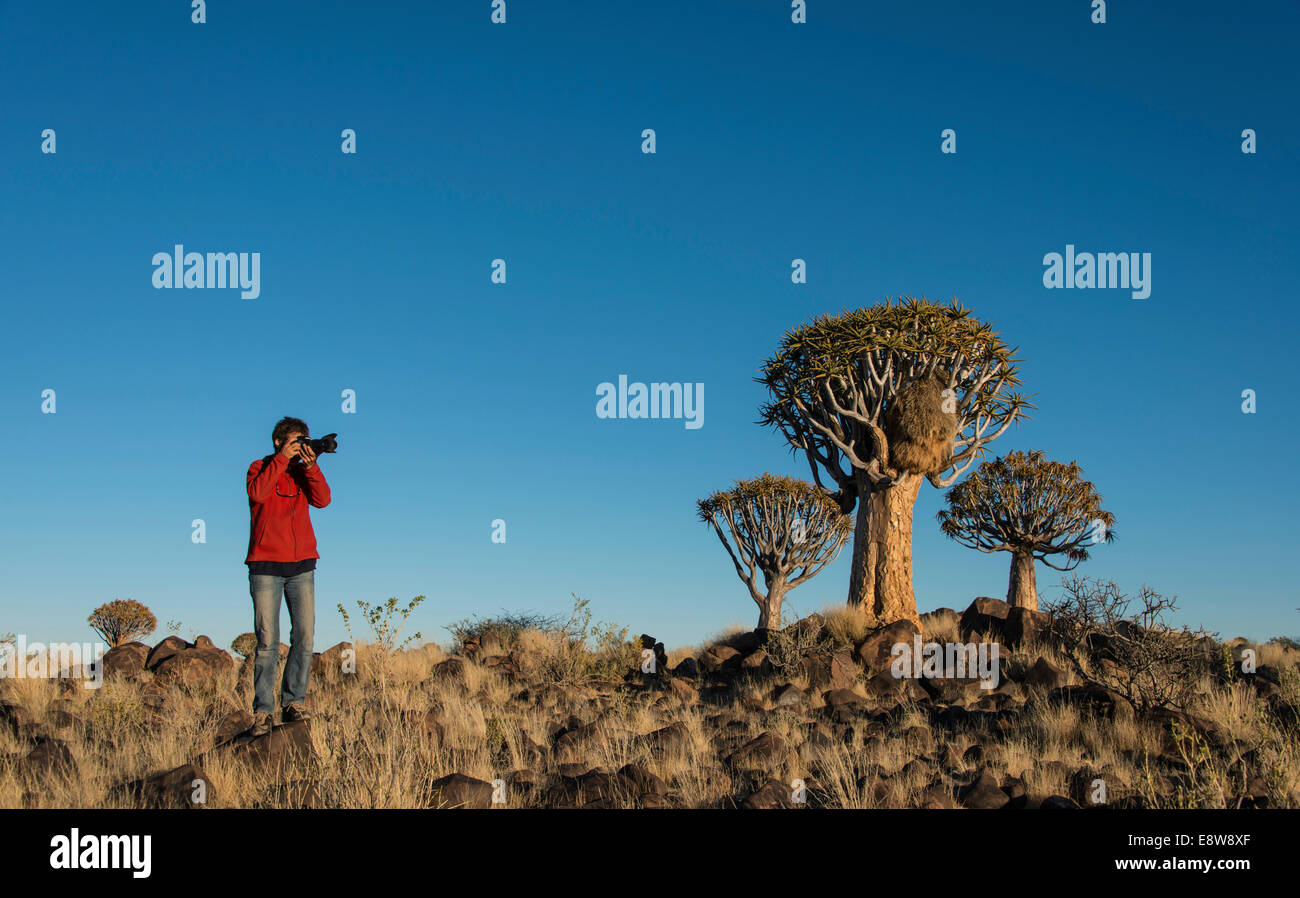 Donna di scattare le foto di alberi faretra, Karas Regione, Namibia Foto Stock