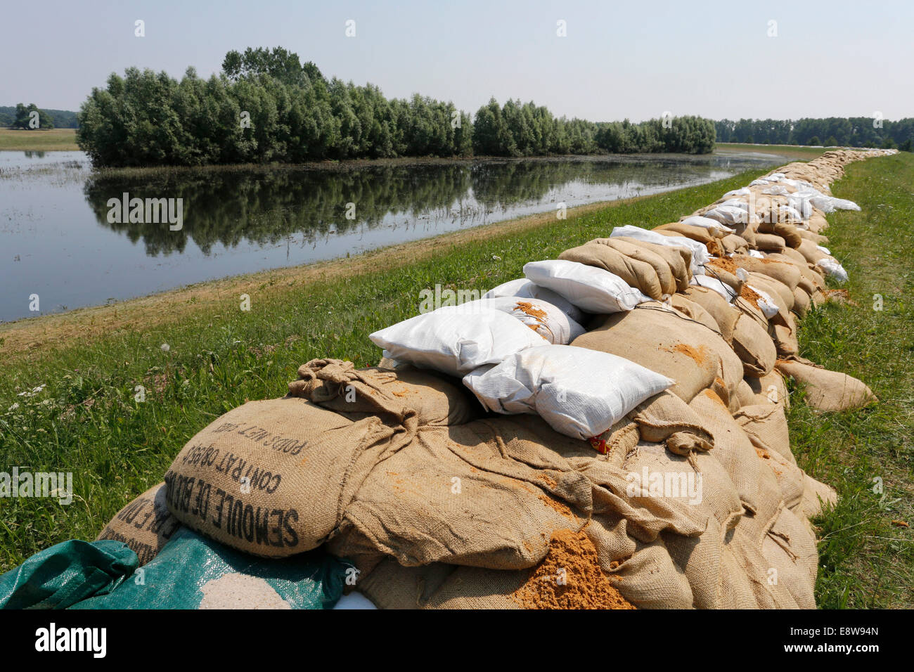 Sacchi di sabbia a protezione di una diga lungo il fiume Elba contro le inondazioni, Lutherstadt Wittenberg, Sassonia-Anhalt, Germania Foto Stock