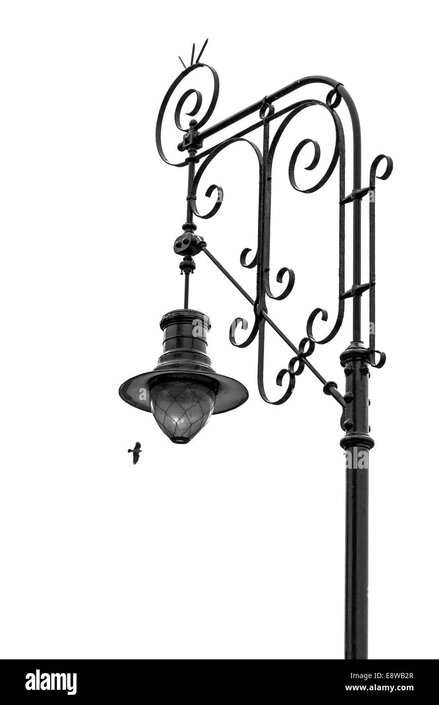 La luce e la vita. La fotografia in bianco e nero di un lampione e un uccello isolata contro uno sfondo bianco Foto Stock
