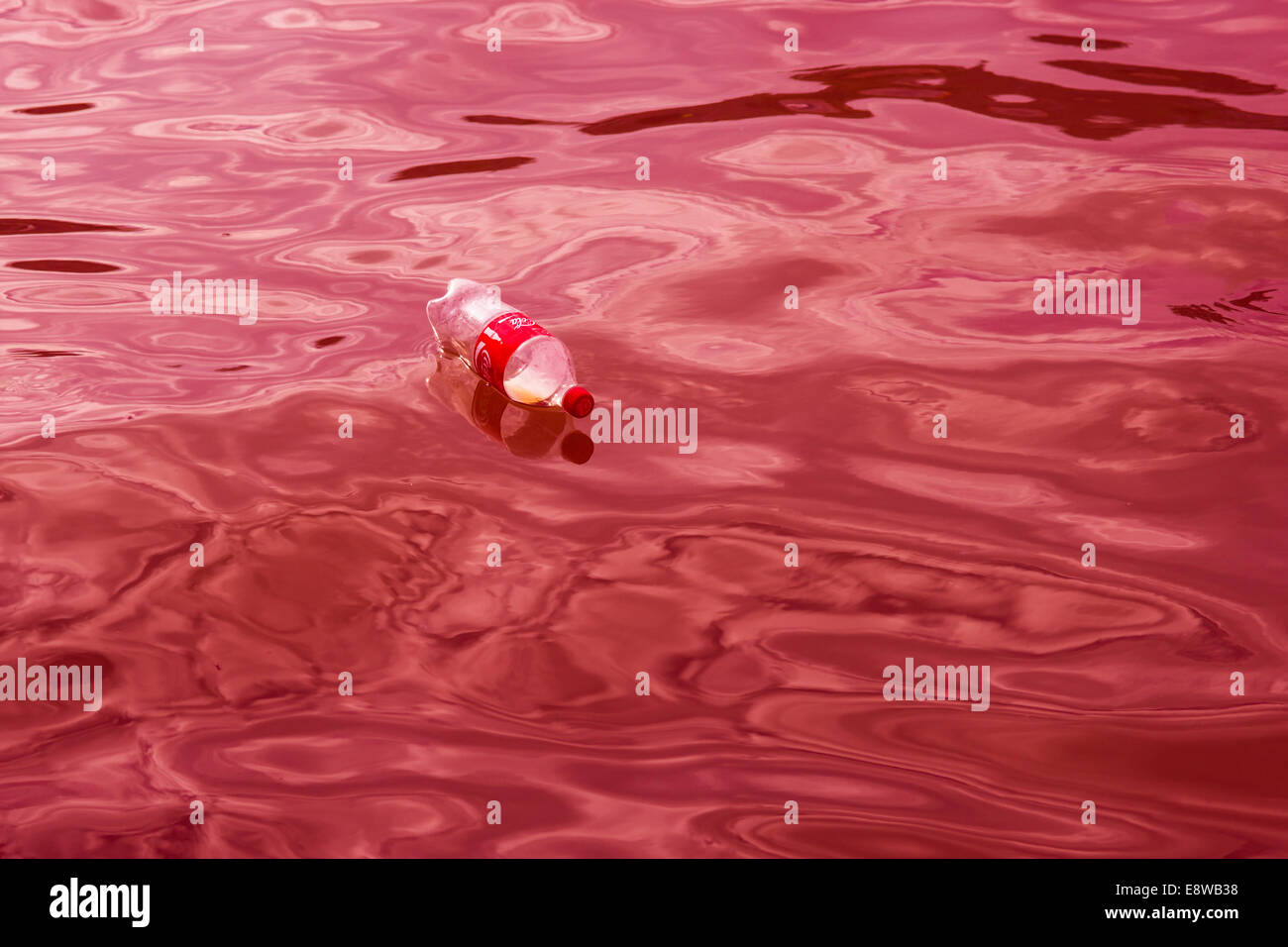 Nuotare Coca Cola. Di plastica vuote Coca Cola bottiglia galleggia liberamente nel liquido rosso Foto Stock