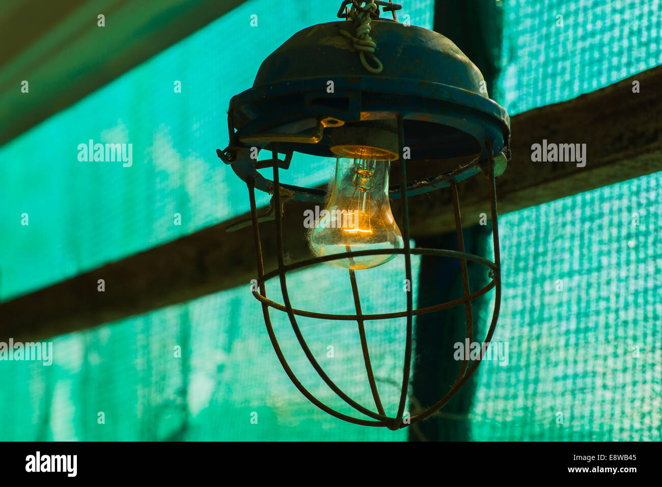 Un live lampadina elettrica coperto con qualche sostanza pelosi. Il surrealismo nella vita di ogni giorno Foto Stock