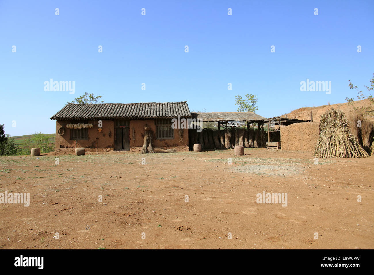 Cervo Bianco base di ripresa nella provincia di Shaanxi Foto Stock