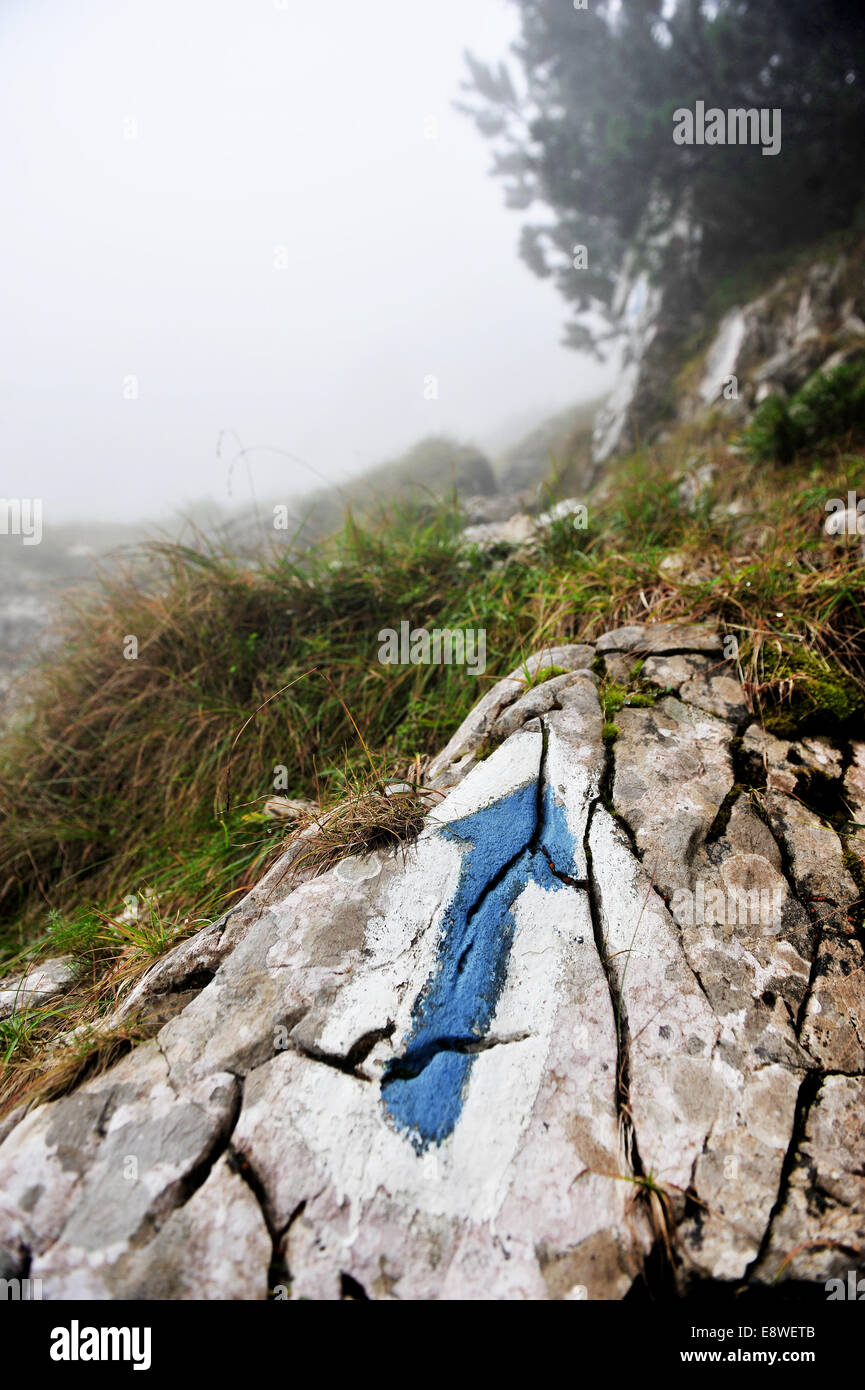 Freccia blu simbolo segnando un turista percorso escursionistico sulla montagna Foto Stock