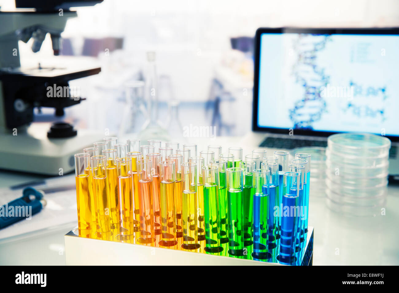 Rack di provette con soluzione sul contatore in laboratorio Foto Stock