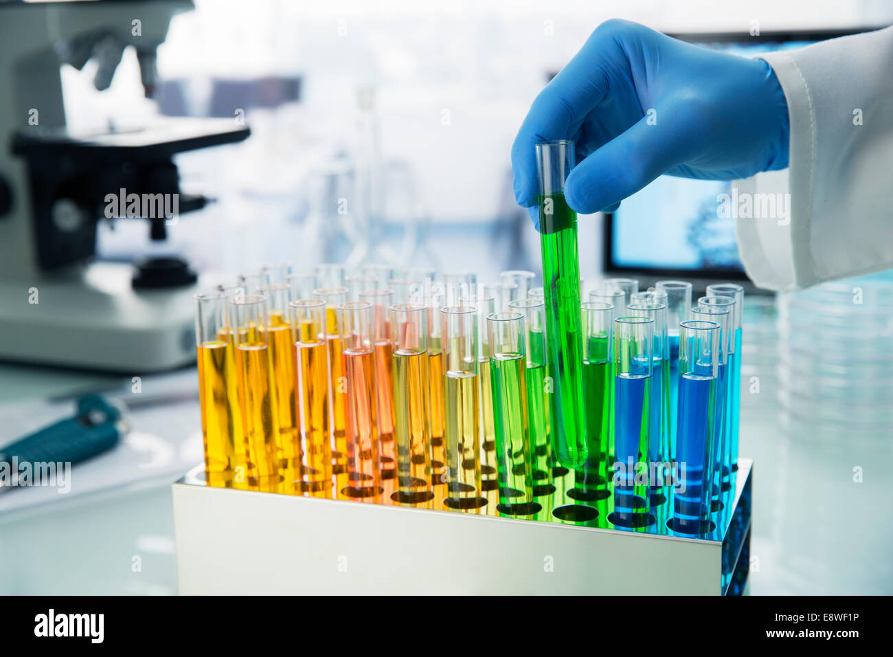 Scienziato di prelievo tubo di prova fuori della cremagliera sul contatore in laboratorio Foto Stock