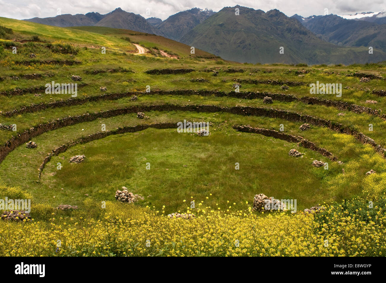 Sito archeologico di Moray in Valle Sacra nei pressi di Cuzco. Moray - è il nome delle rovine Inca vicino alla città di Maras, Per Foto Stock