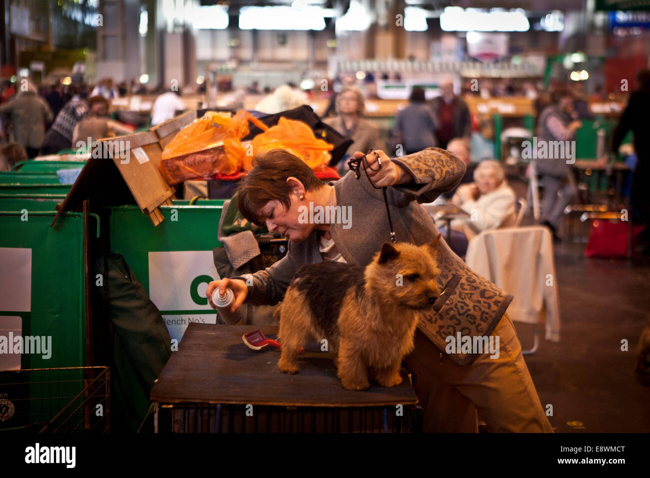 Vista generale di Crufts 2014 al NEC di Birmingham, UK. Il 7 marzo 2014. Foto Stock