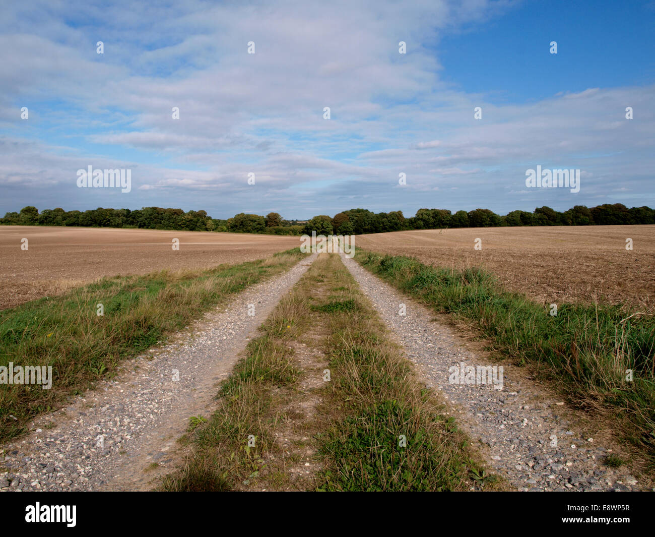 Azienda Agricola via, Chettle, Dorset, Regno Unito Foto Stock