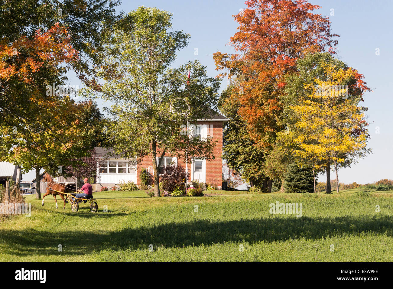 Luminosa giornata autunnale su una fattoria in Lindsay, Ontario, Canada Foto Stock