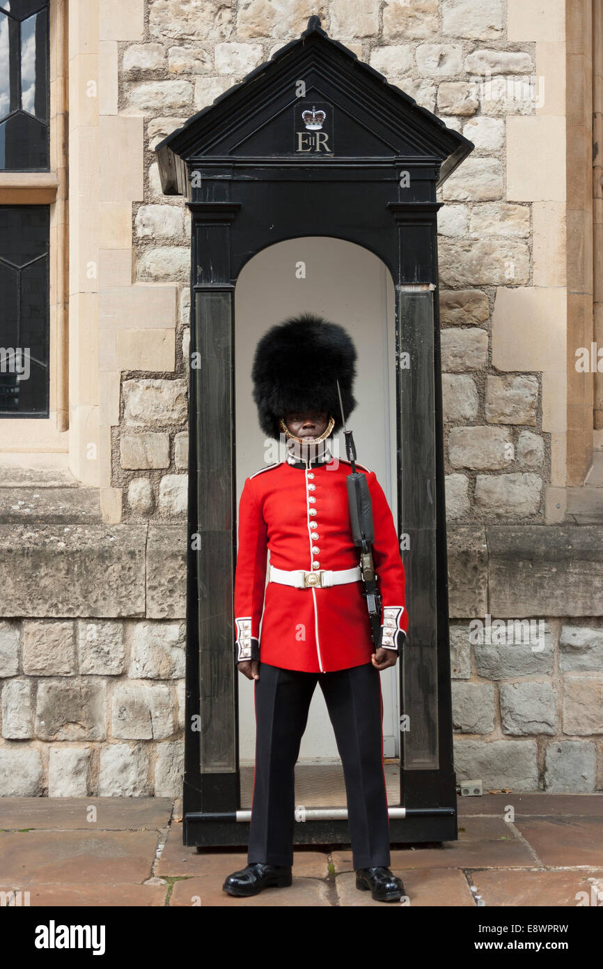 Un Guardsman in servizio presso la Torre di Londra Foto Stock