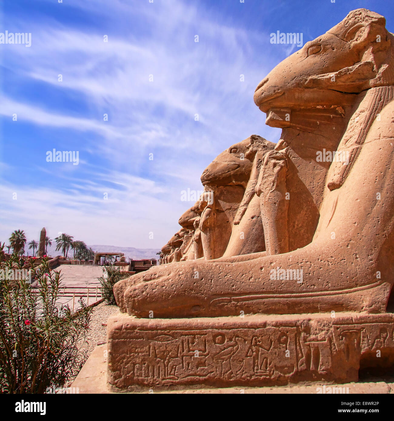Viale di montoni del tempio di Karnak . Foto Stock