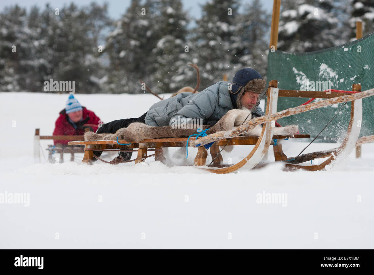 JOKKMOKK, Svezia renne racing al Jokkmokk annuale mercato invernale. Foto Stock