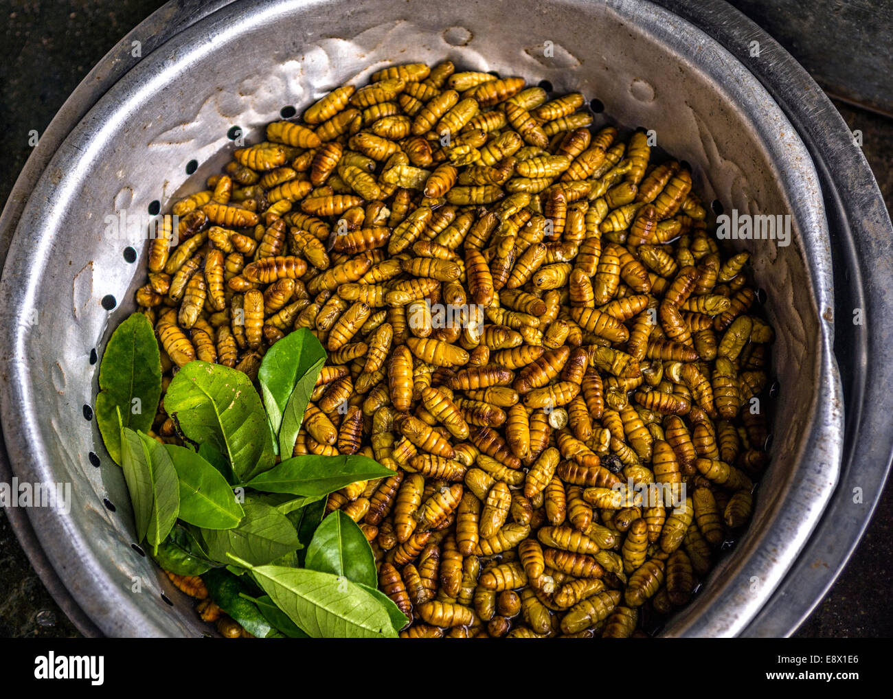 Il Vietnam Sa Pa: vasca riempita con marrone giallo vermi sul mercato. Foto Stock