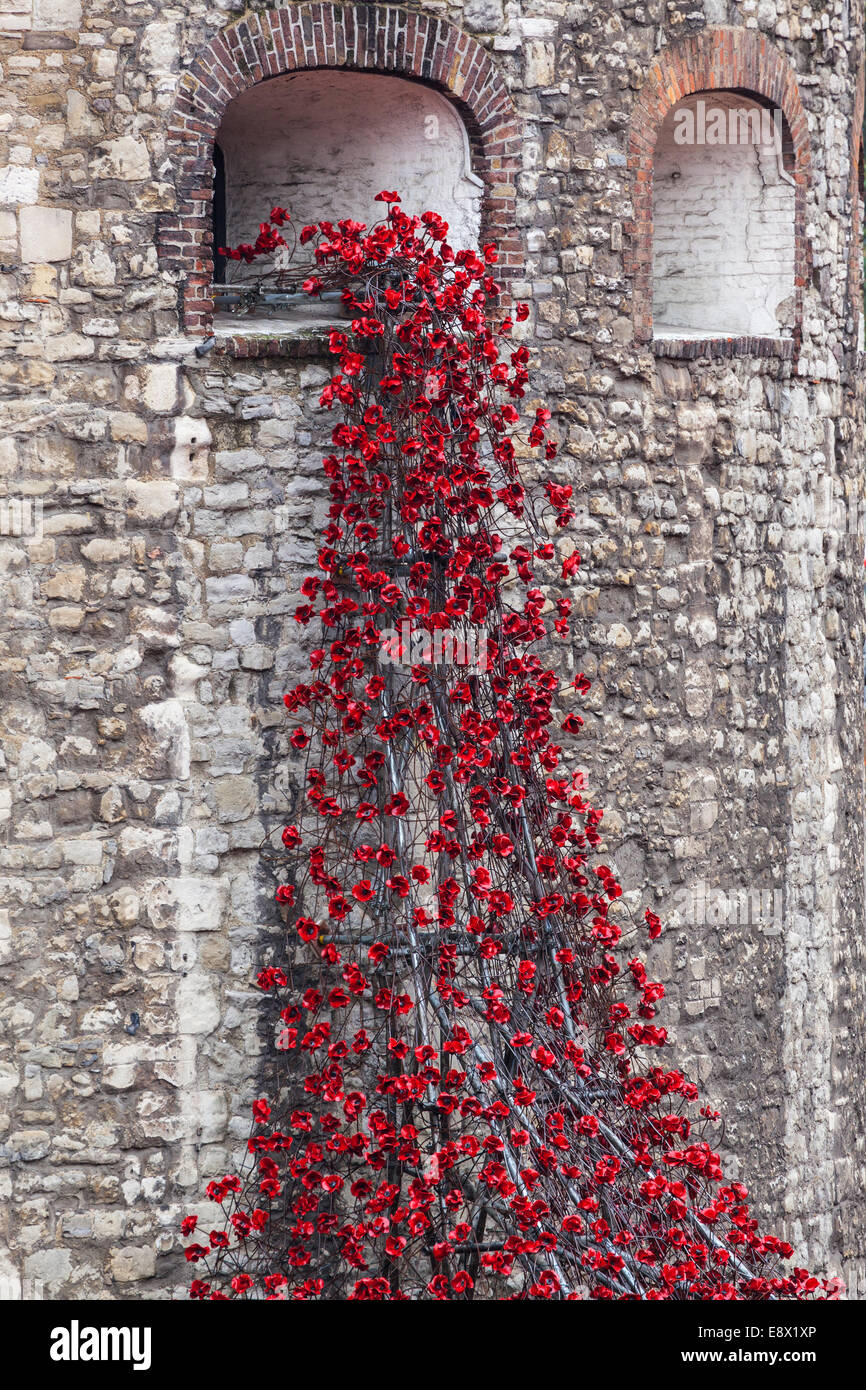 Papaveri in ceramica sembrano essere riversando fuori della Torre di Londra a Fossato Foto Stock