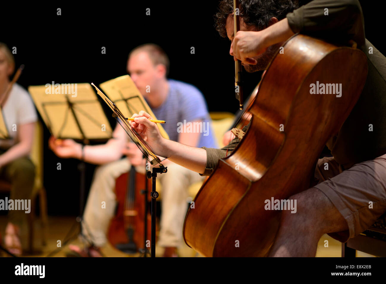 Stringhe: Orion Ensemble in prove a Aberystwyth Arts Center's MusicFest 2014 Foto Stock