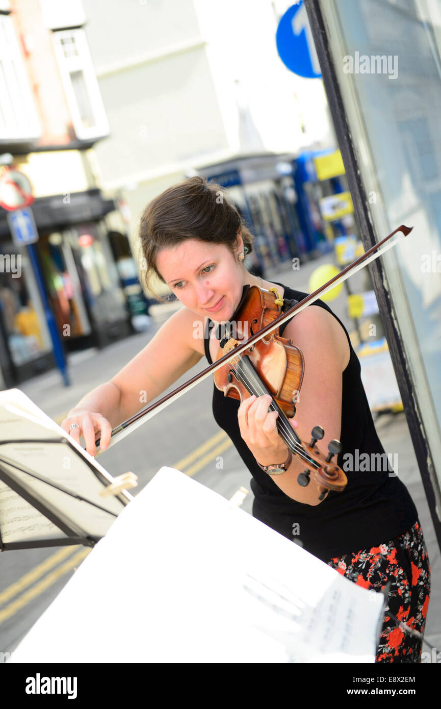 Stringhe: Il Solem String Quartet in esecuzione al Musicfest 2014 Aberystwyth Arts Centre Wales UK Foto Stock