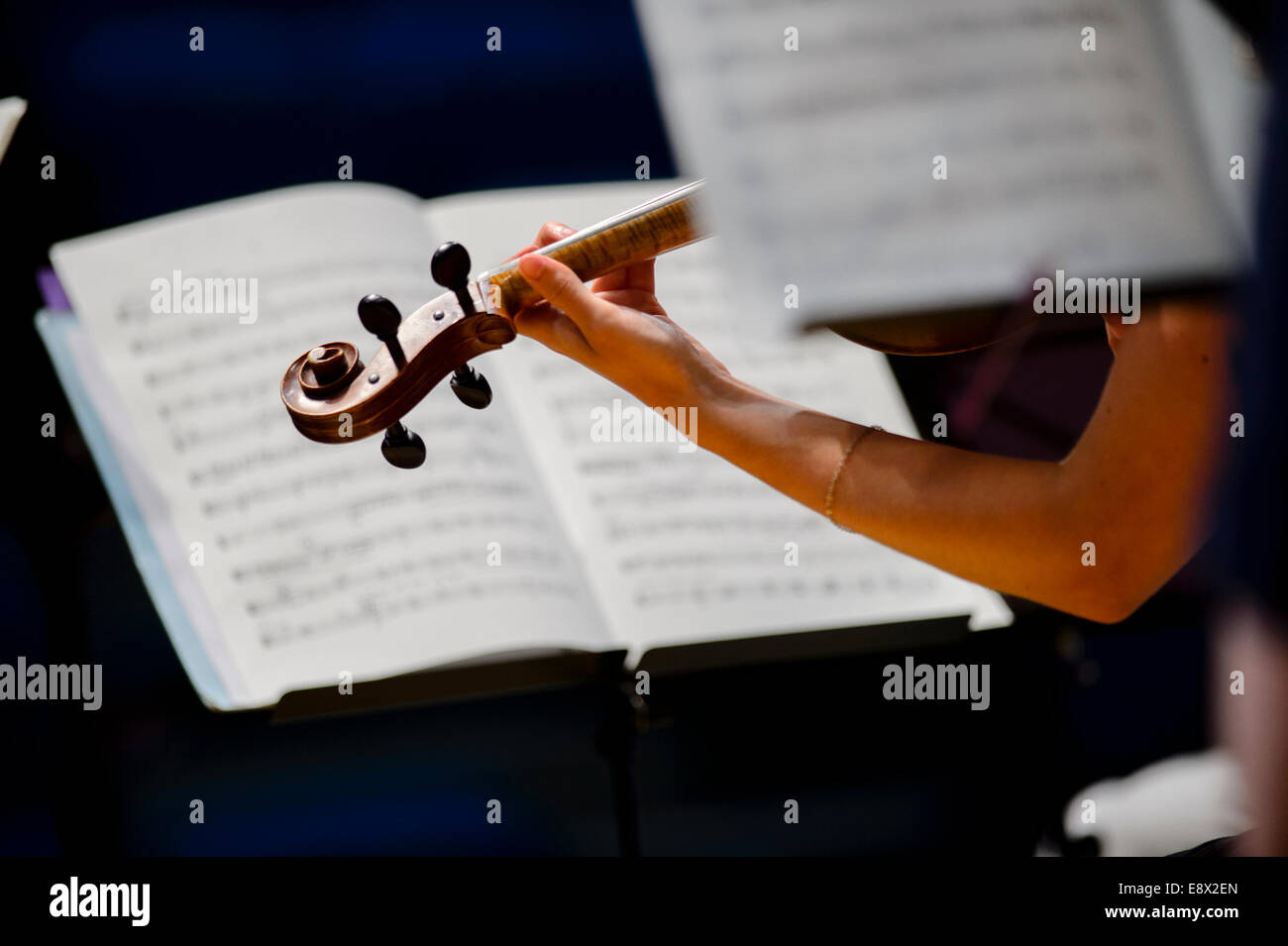 Stringhe: un violinista con la Orion Ensemble in prove a Aberystwyth Arts Center's MusicFest 2014 Foto Stock