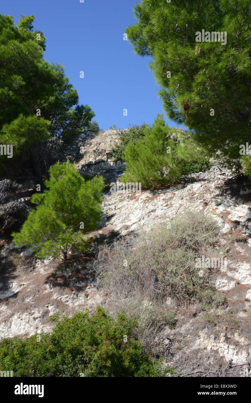 Tipico terreno del Gargano, in Puglia, Italia Foto Stock