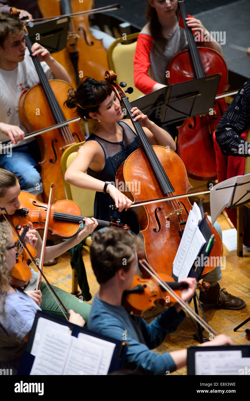 Stringhe: sezione violoncelli di London Schools Symphony Orchestra ripassando a Aberystwyth Arts Center's MusicFest 2014 Foto Stock