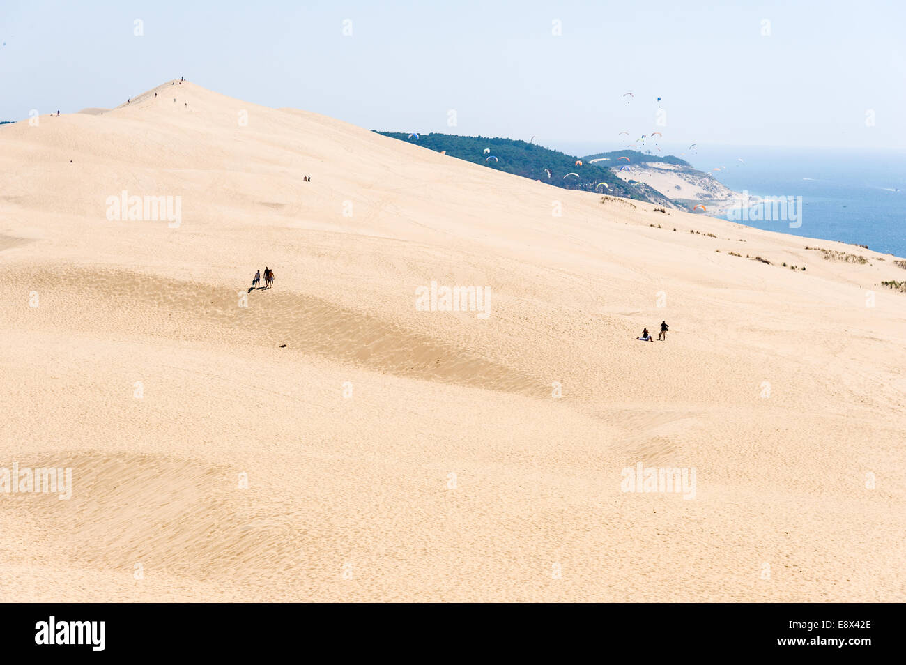 La Francia, La Teste de Buch, Baia di Arcachon. Dune du Pilat, le più alte dune di sabbia in Europa. Foto Stock