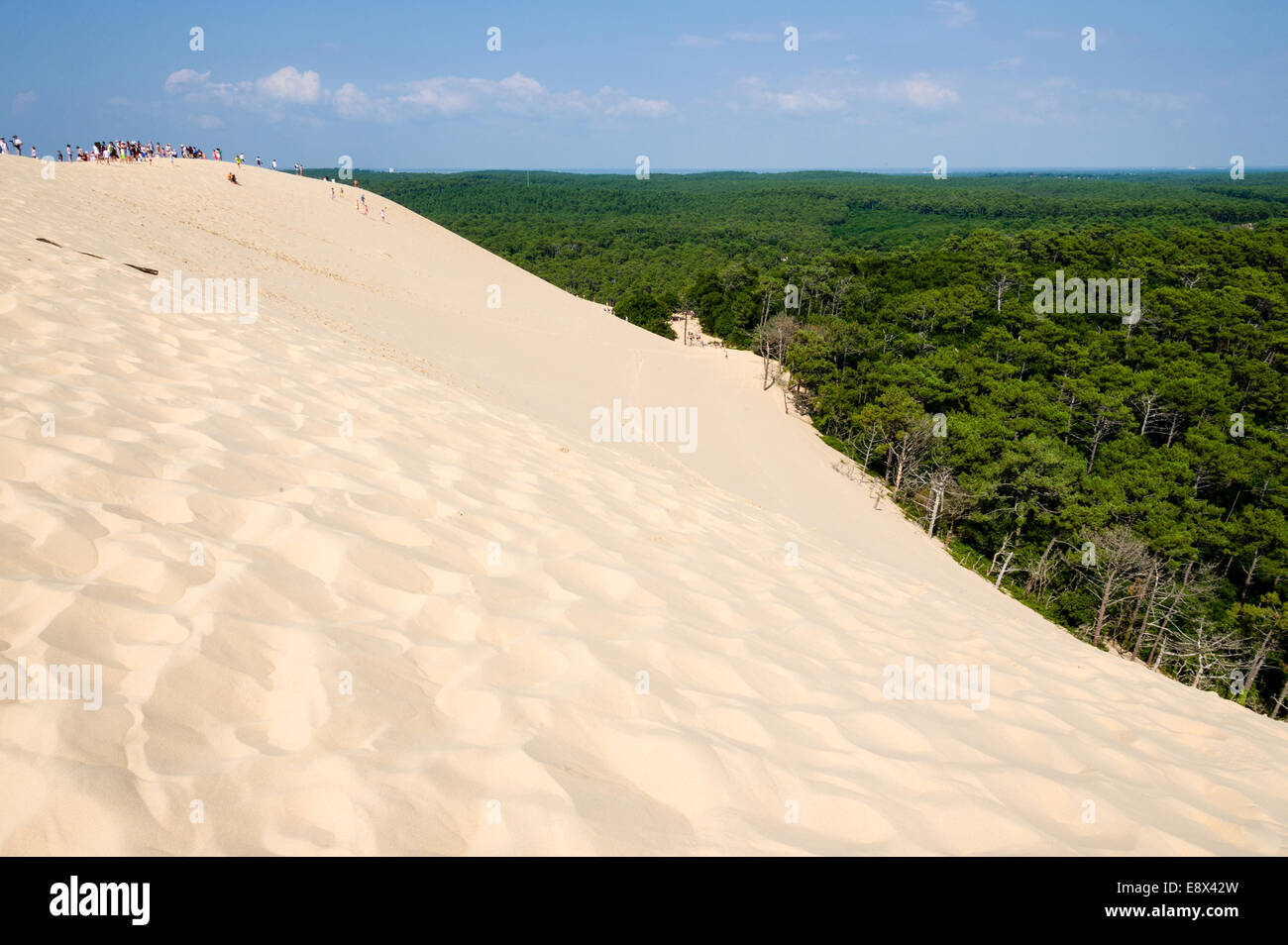 La Francia, La Teste de Buch, Baia di Arcachon. Dune du Pilat, le più alte dune di sabbia in Europa. Foto Stock