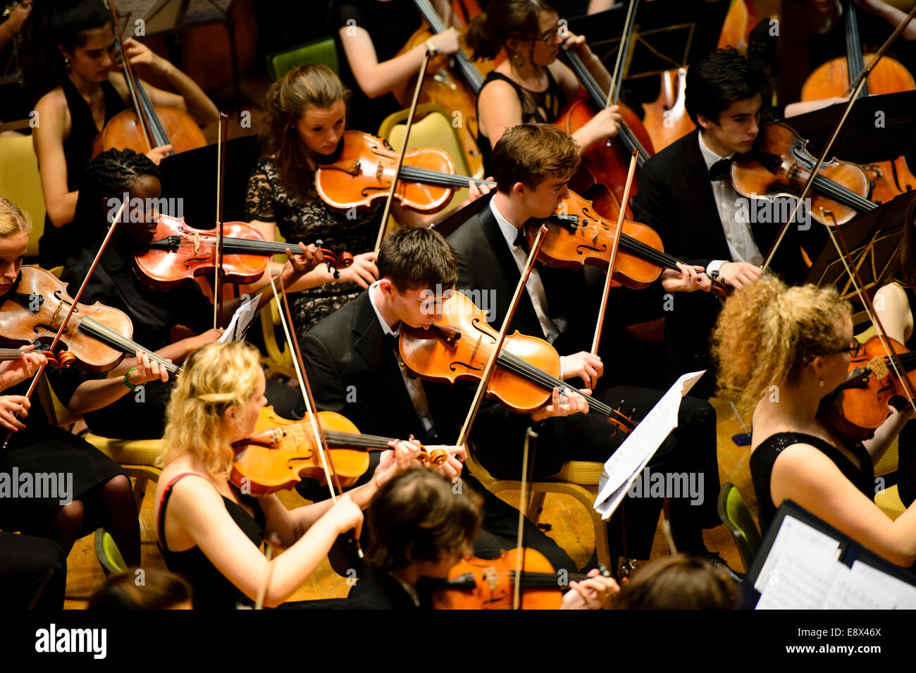 Stringhe: Il London Schools Symphony Orchestra a Aberystwyth MusicFest 2014 Foto Stock