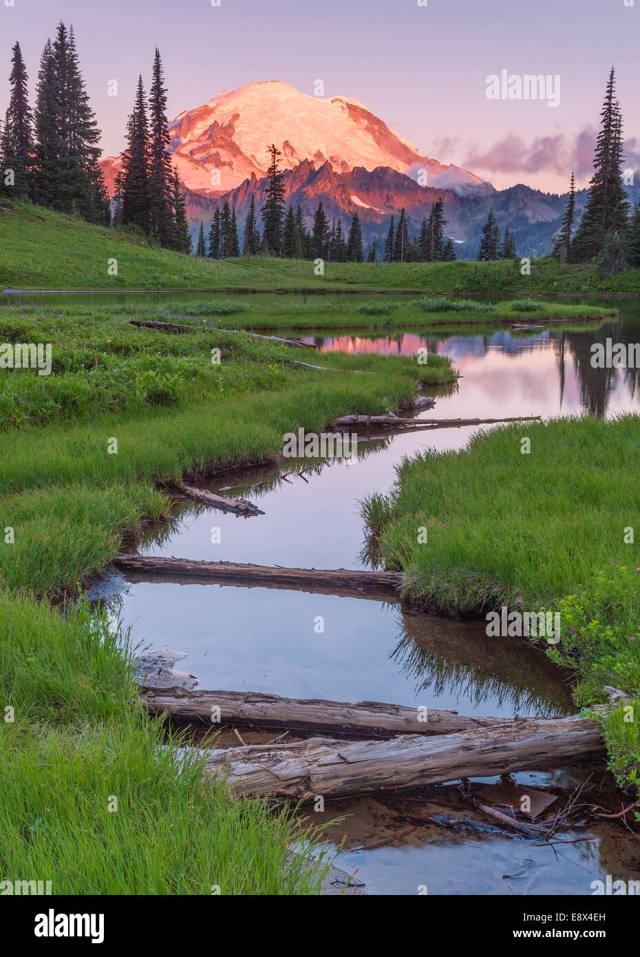 Il Parco Nazionale del Monte Rainier, WA: Alba la luce sul Monte Rainier da Upper Tipsoo Lake Foto Stock