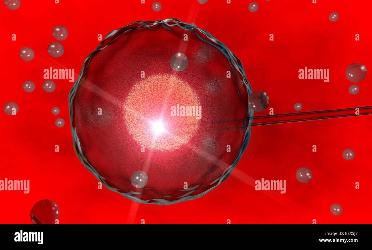 3D ovum, inseminazione artificiale su sfondo rosso Foto Stock